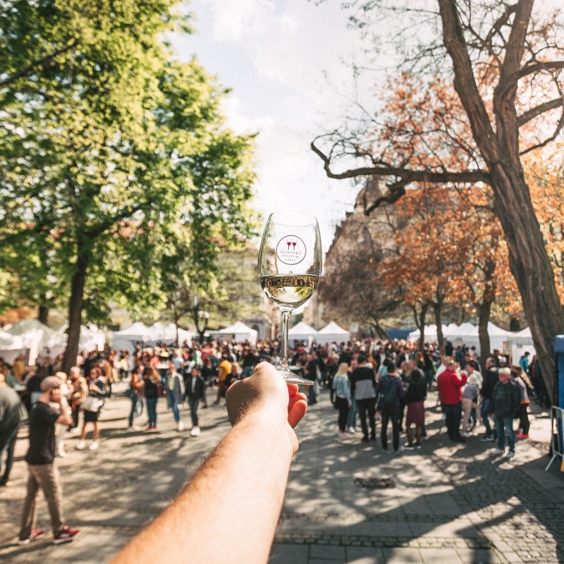 Plzeňský festival  vína 2023 - jaro
