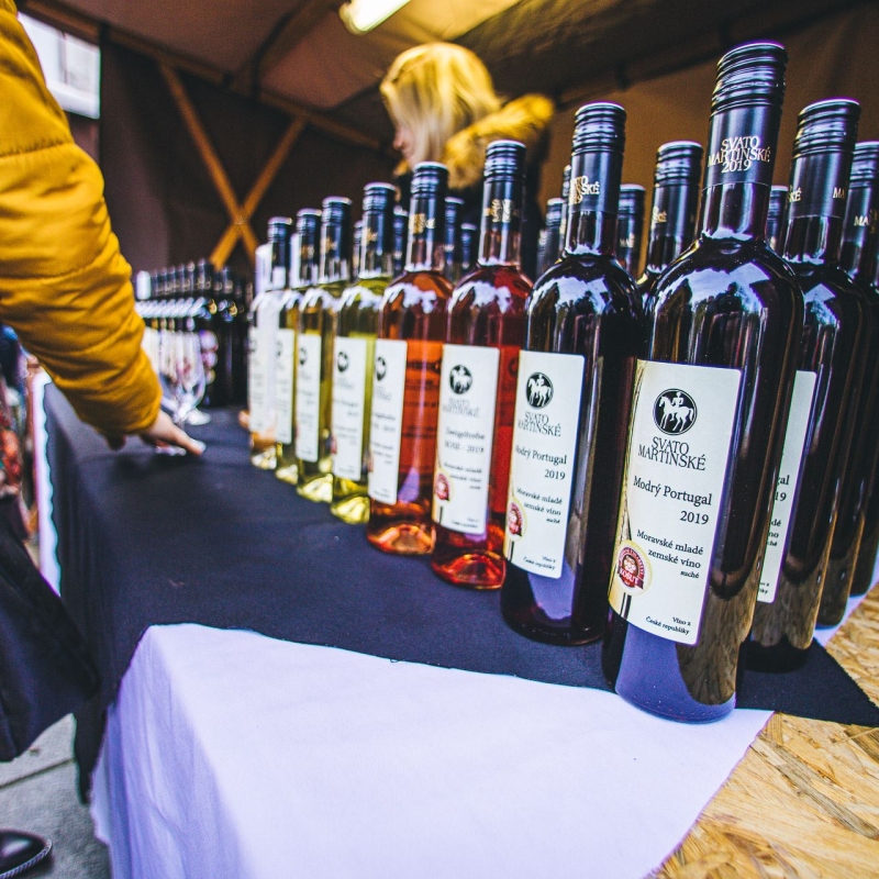 Svatomartinské slavnosti Poděbrady 2021 