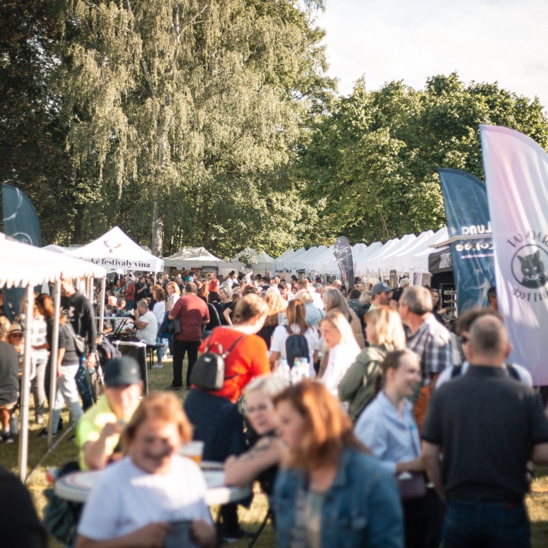 Staňkovský festival vína 2025