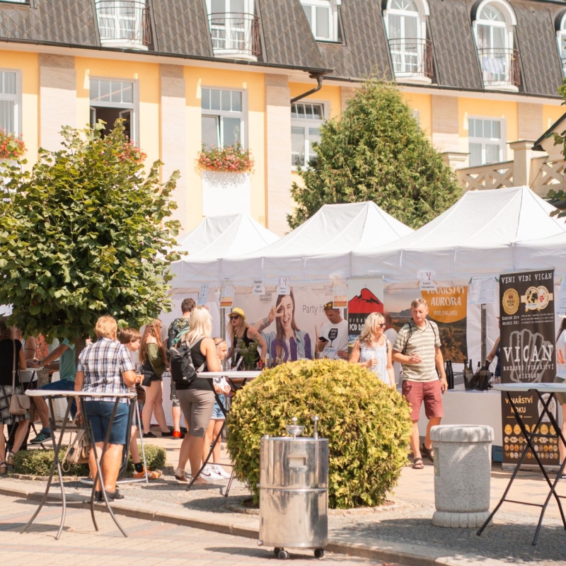 logo Festival vína Františkovy Lázně 2026