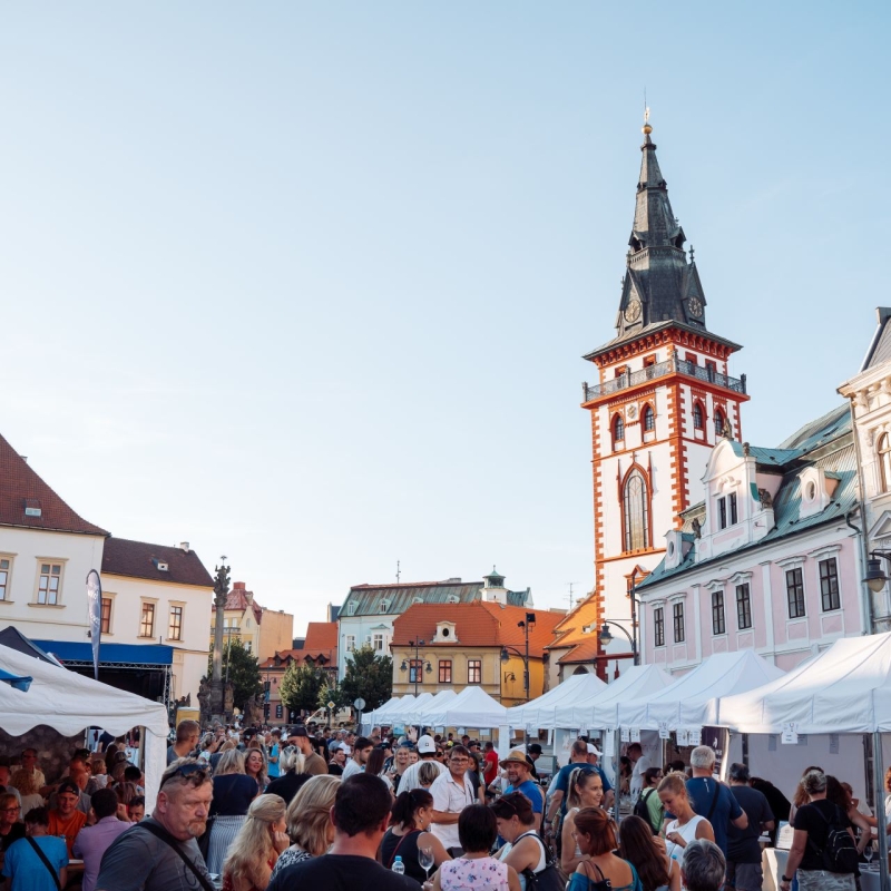 Chomutovský festival vína 2026