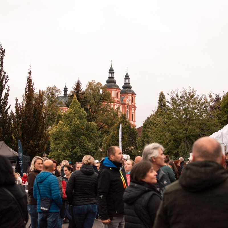 Přeštický festival vína 2026